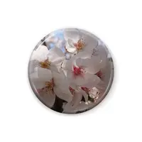 つくばのジョー - Badge - VTuber