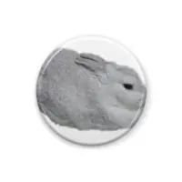 ウサギン（うさぎが運営するVtuber） - Badge - VTuber