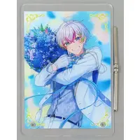 Relu - Acrylic Art Plate - Acrylic stand - Starlight Polaris