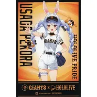 Usada Pekora - Postcard - hololive