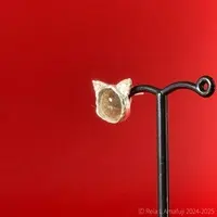 Amafuji L Reia - Earrings - VTuber