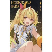 Hoshikawa Sara - Character Card - Nijisanji