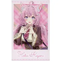 Hakui Koyori - Character Card - hololive