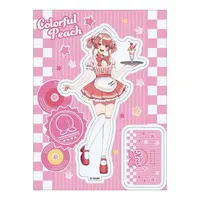 Noa - Acrylic stand - Colorful Peach