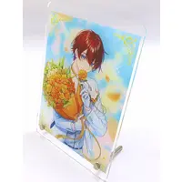 Kuni - Acrylic Art Plate - Starlight Polaris