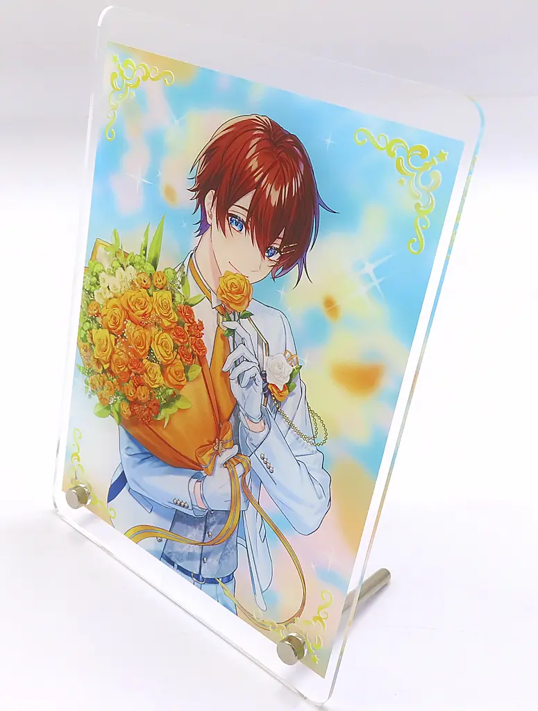 Kuni - Acrylic Art Plate - Starlight Polaris