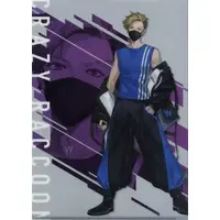 YY - Stationery - Plastic Folder - Crazy Raccoon