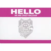 Crazy Raccoon - Stickers