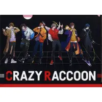 Crazy Raccoon - Stationery - Plastic Folder
