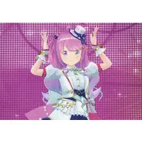 Himemori Luna - Character Card - hololive