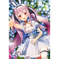 Tosaki Mimi - Tapestry - VSPO!
