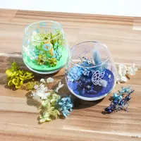 Suo Sango - Tableware - Tumbler, Glass - Nijisanji