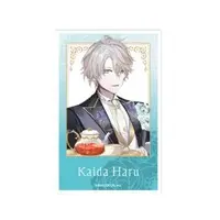 Kaida Haru - Character Card - VΔLZ