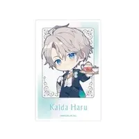 Kaida Haru - Character Card - VΔLZ