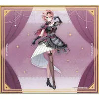 Takane Lui - Illustration Board - holoX