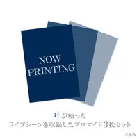 Kanae - Character Card - ChroNoiR