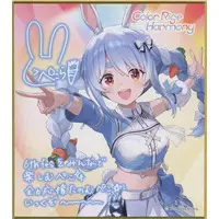 Usada Pekora - Illustration Board - hololive (Random Item)