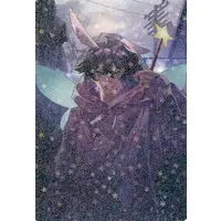 Toppy - Character Card - Crazy Raccoon