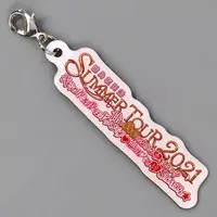 UraShimaSakataSen (USSS) - Key Chain