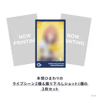 Honma Himawari - Character Card - Nijisanji