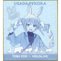 Usada Pekora - Illustration Board - hololive