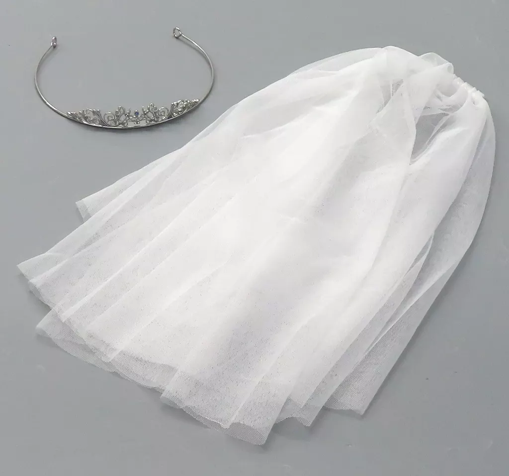 UraShimaSakataSen (USSS) - Accessory