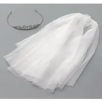 UraShimaSakataSen (USSS) - Accessory