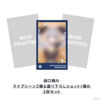 Higuchi Kaede - Character Card - Nijisanji