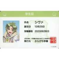 Siva - Character Card - Colorful Peach