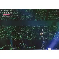 Uratanuki - Portrait - SoraMafuUraSaka