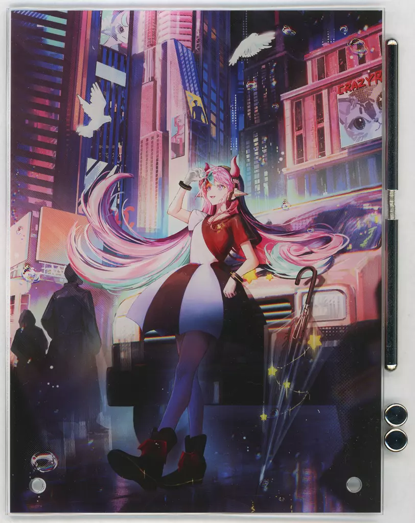 Selly - Acrylic Art Plate - Crazy Raccoon