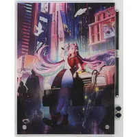 Selly - Acrylic Art Plate - Crazy Raccoon