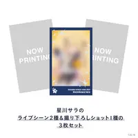 Hoshikawa Sara - Character Card - Nijisanji