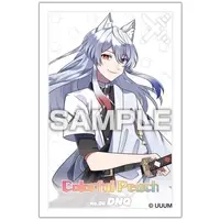 DNQ - Stickers - Colorful Peach