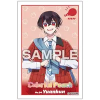 Yuankun - Stickers - Colorful Peach