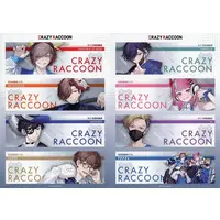Crazy Raccoon - Stickers