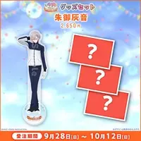 Akemi Haine - Complete Set - Acrylic stand - Character Card - FIRST STAGE PRODUCTION