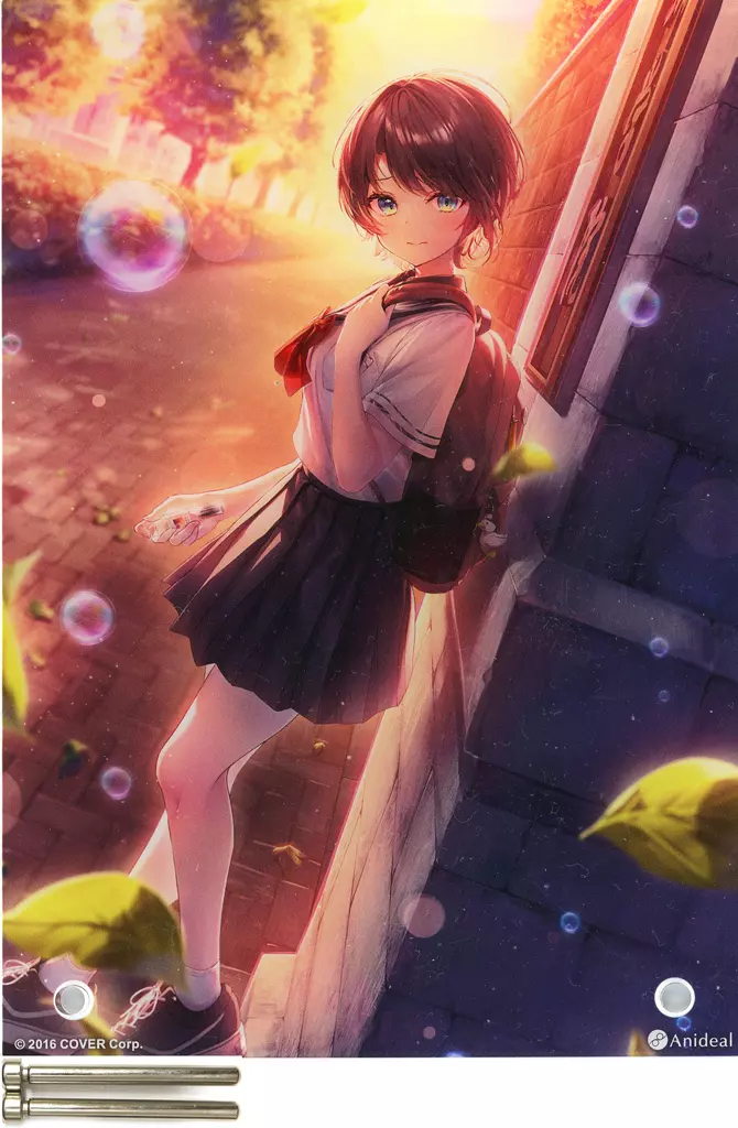 Oozora Subaru - Acrylic Art Plate - hololive