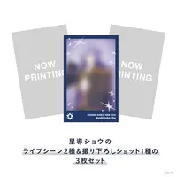 Hoshirube Sho - Character Card - Nijisanji