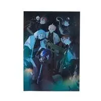 Crazy Raccoon - Poster