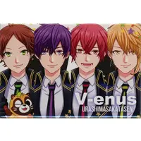 UraShimaSakataSen (USSS) - Badge