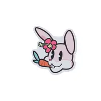 Toppy - Stickers - Crazy Raccoon