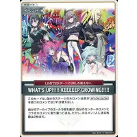 hololive - Trading Card - hololive OFFICIAL CARD GAME