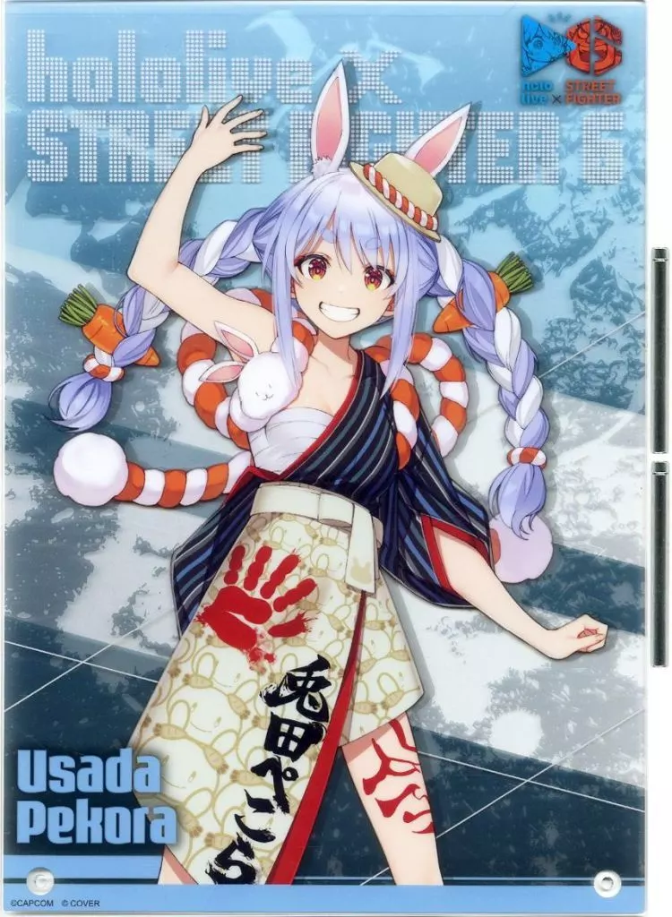 Usada Pekora - Acrylic Art Plate - hololive