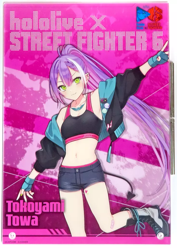 Tokoyami Towa - Acrylic Art Plate - hololive