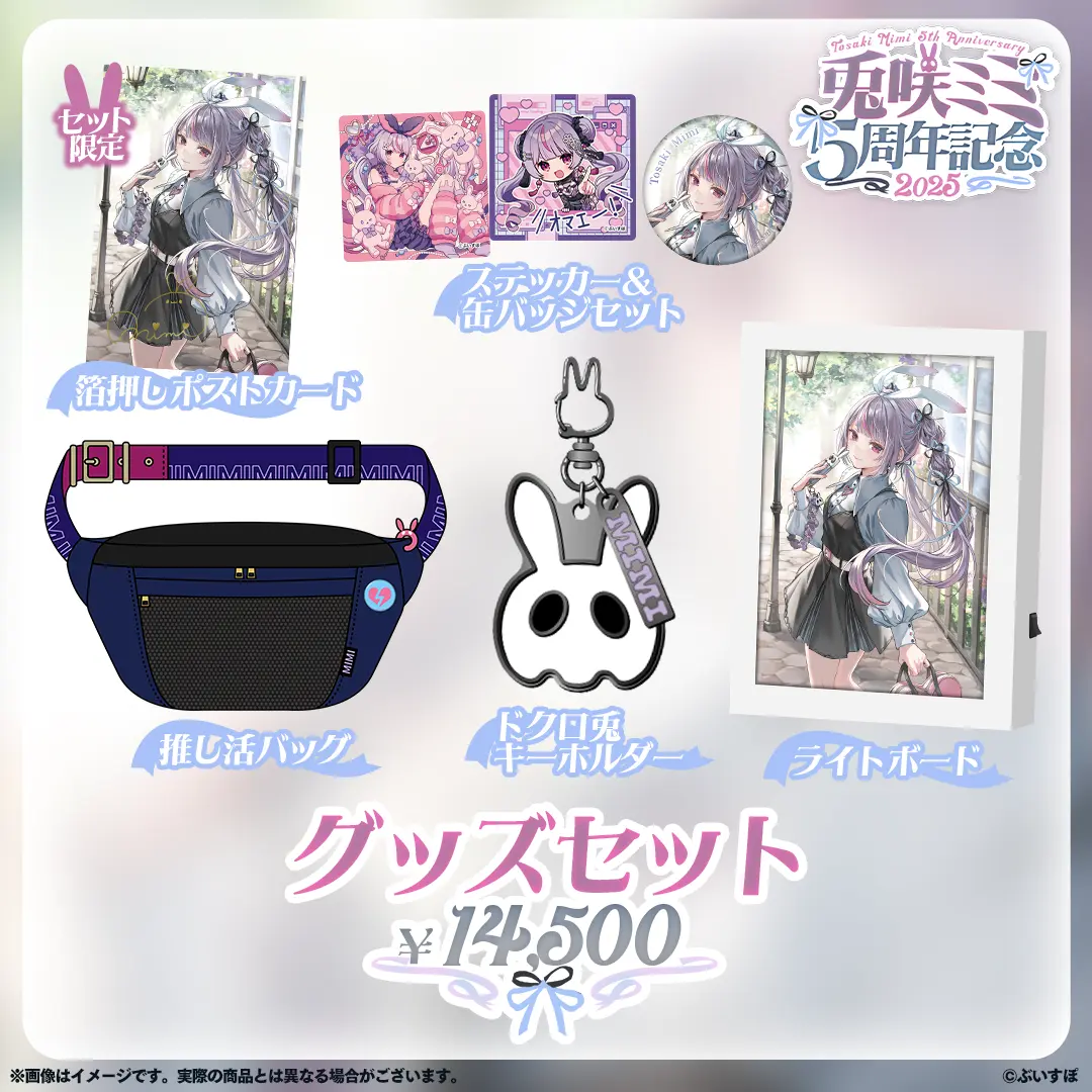Tosaki Mimi - Complete Set - Key Chain - Badge - Stickers - Bag - Postcard - VSPO!