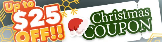 2025 Christmas Special Coupon