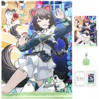Inui Toko - Key Chain - Character Card - Tapestry - Acrylic Art Plate - Birthday Merch Complete Set - Acrylic Key Chain - Nijisanji