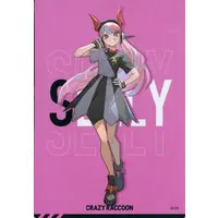 Selly - Stickers - Crazy Raccoon