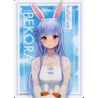 Usada Pekora - Character Card - hololive